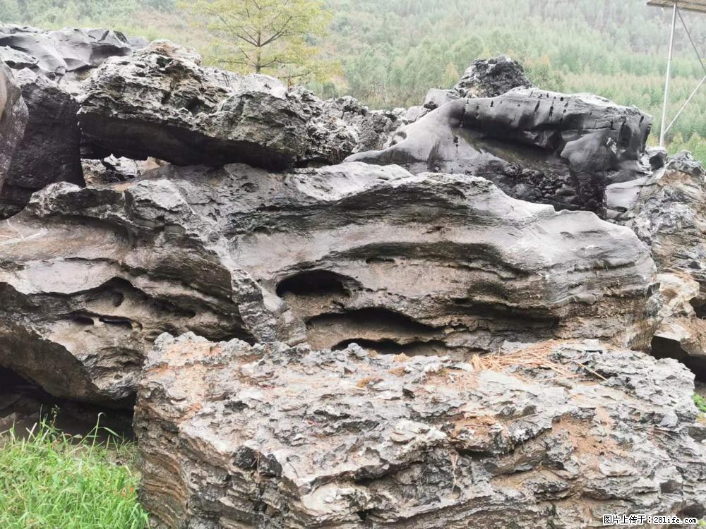 风景石、假山石大量有货，有需要的欢迎联系 - 新手上路 - 商洛生活社区 - 商洛28生活网 sl.28life.net