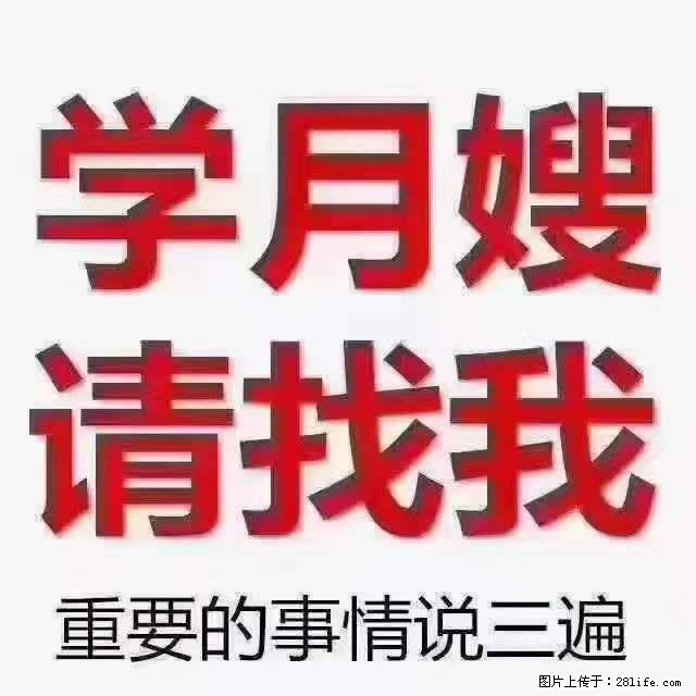 为什么要学习月嫂，育婴师？ - 其他广告 - 广告专区 - 商洛分类信息 - 商洛28生活网 sl.28life.net