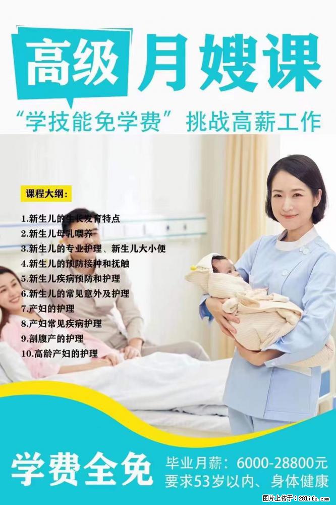 为什么要学习月嫂，育婴师？ - 其他广告 - 广告专区 - 商洛分类信息 - 商洛28生活网 sl.28life.net