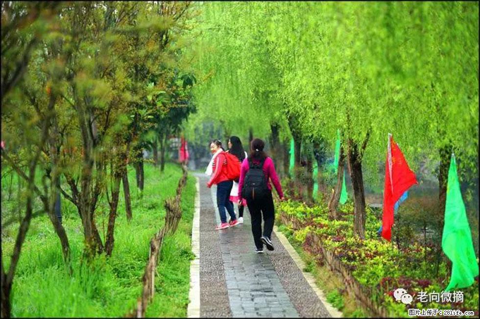 【春天，广西桂林灌阳县向您发出邀请！】江口老街又逢春 - 游山玩水 - 商洛生活社区 - 商洛28生活网 sl.28life.net
