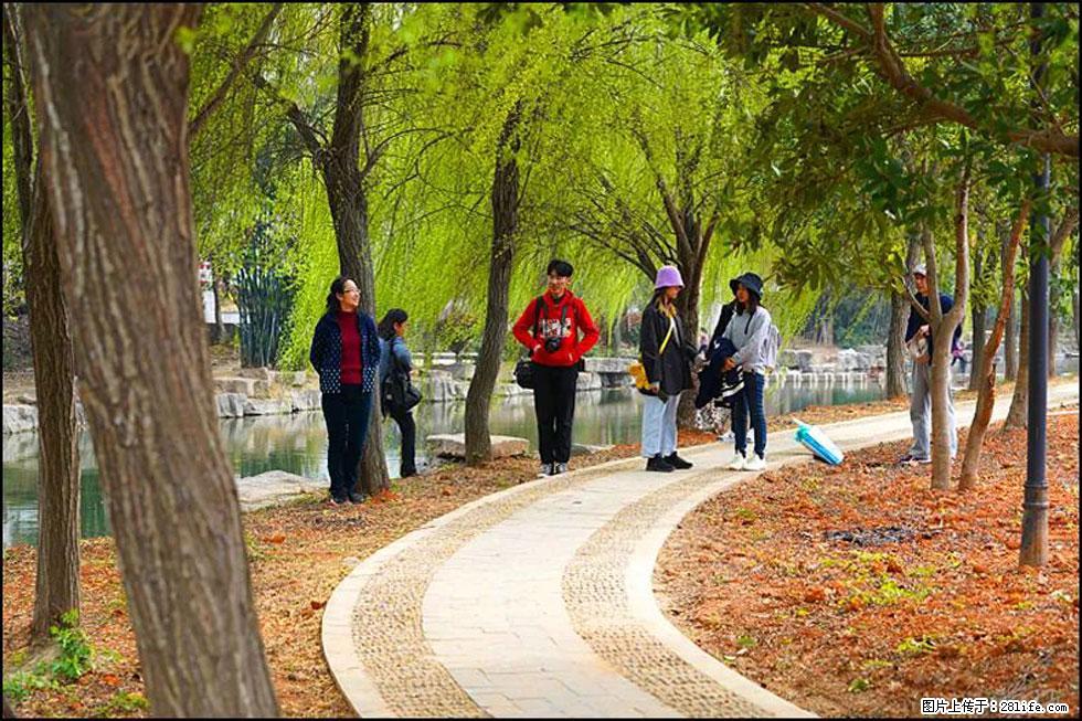 【春天，广西桂林灌阳县向您发出邀请！】江口老街又逢春 - 游山玩水 - 商洛生活社区 - 商洛28生活网 sl.28life.net