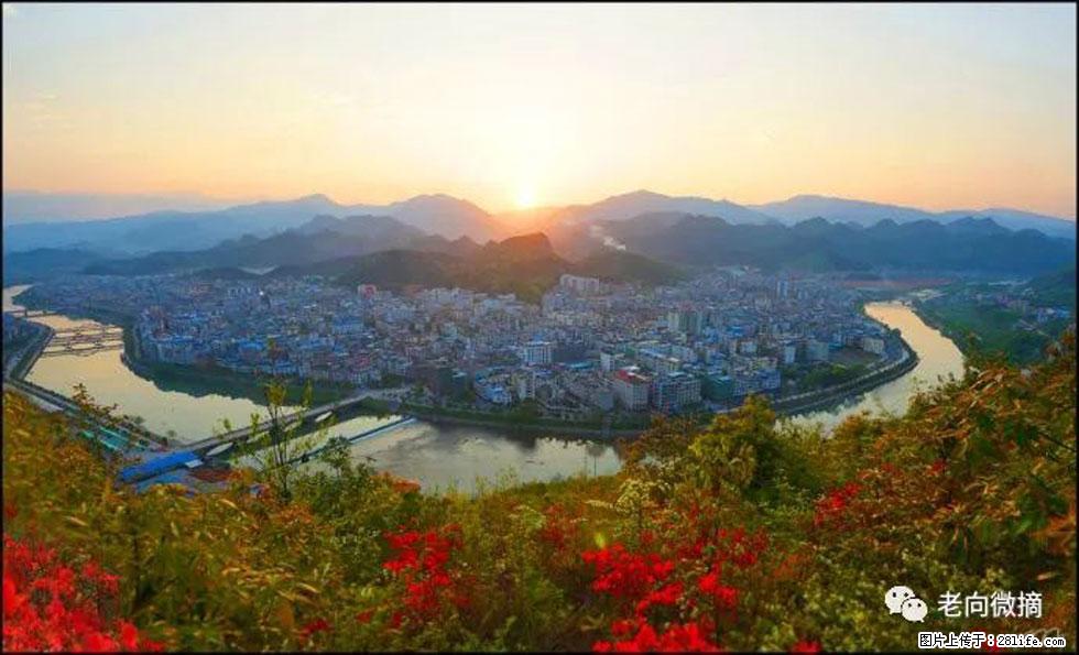 【春天，广西桂林灌阳县向您发出邀请！】登麒麟山，相约映山红 - 游山玩水 - 商洛生活社区 - 商洛28生活网 sl.28life.net