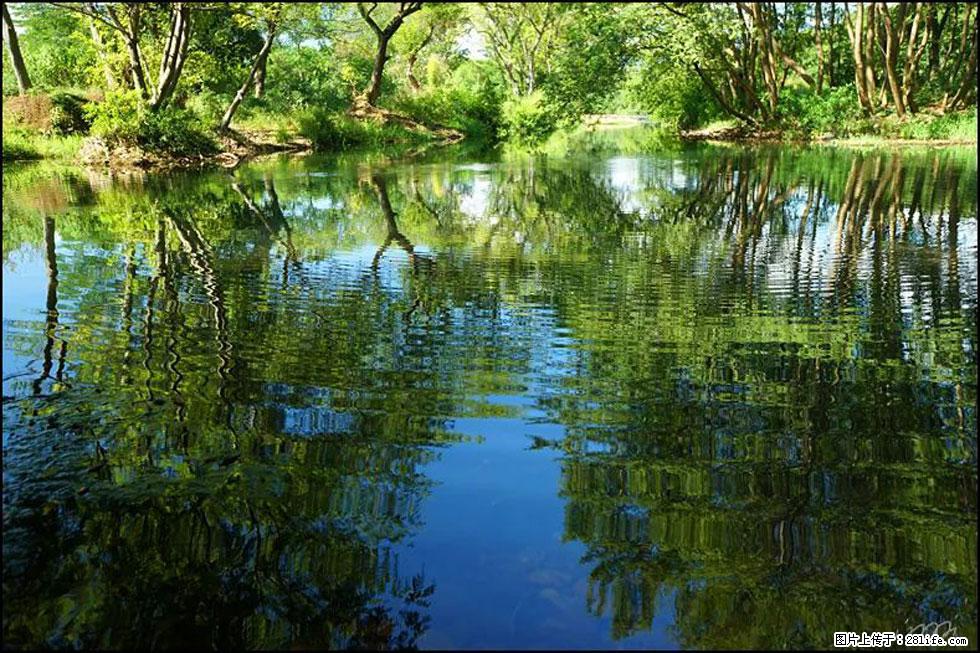 【春天，广西桂林灌阳县向您发出邀请！】熊家寨湿地公园 - 游山玩水 - 商洛生活社区 - 商洛28生活网 sl.28life.net