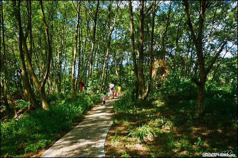 【春天，广西桂林灌阳县向您发出邀请！】熊家寨湿地公园 - 游山玩水 - 商洛生活社区 - 商洛28生活网 sl.28life.net