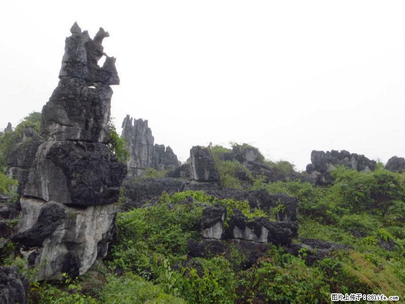 桂林旅游名城景点：灌阳文市石林 - 游山玩水 - 商洛生活社区 - 商洛28生活网 sl.28life.net