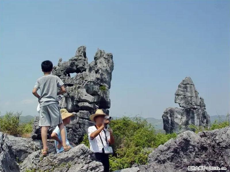 桂林旅游名城景点：灌阳文市石林 - 游山玩水 - 商洛生活社区 - 商洛28生活网 sl.28life.net