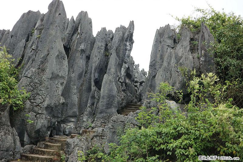 桂林旅游名城景点：灌阳文市石林 - 游山玩水 - 商洛生活社区 - 商洛28生活网 sl.28life.net