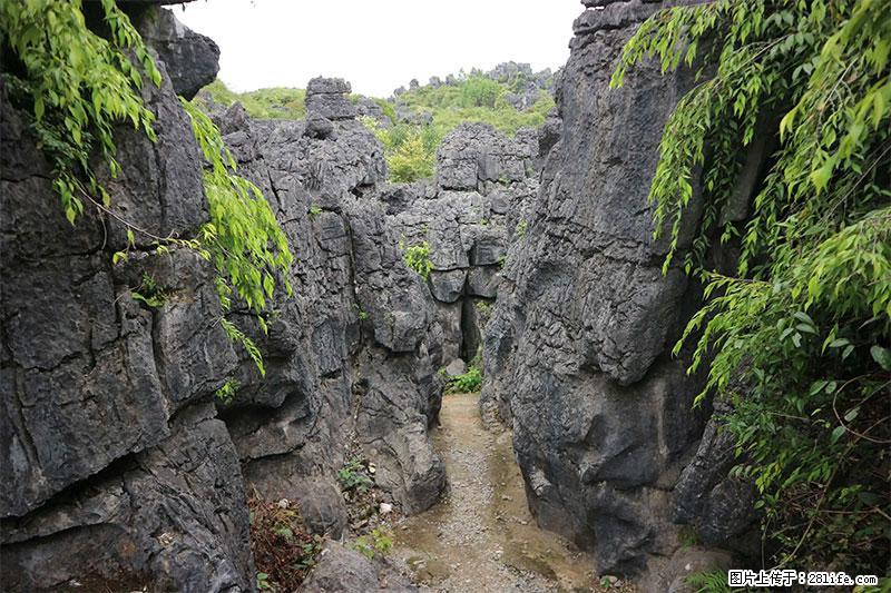 桂林旅游名城景点：灌阳文市石林 - 游山玩水 - 商洛生活社区 - 商洛28生活网 sl.28life.net