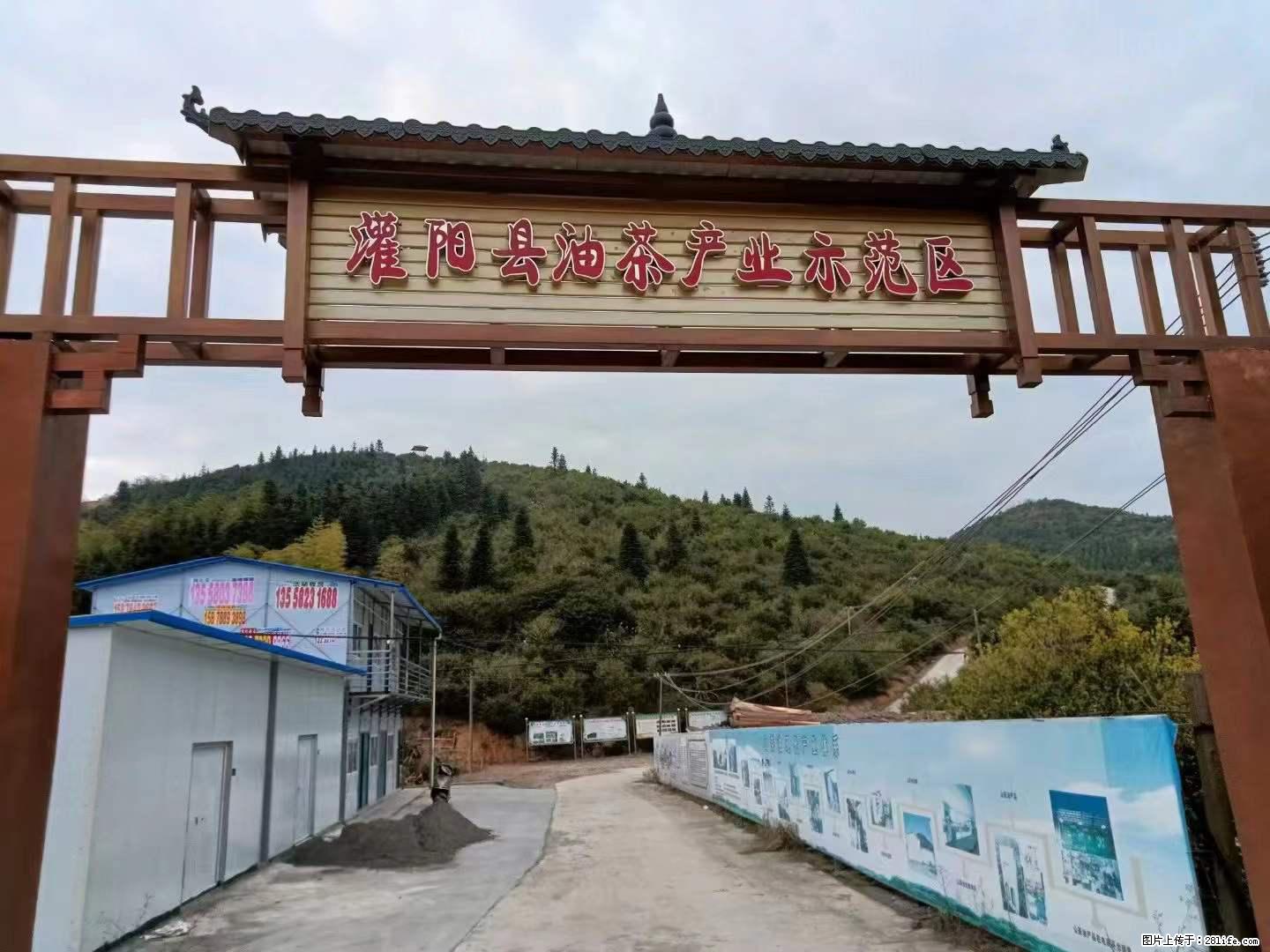 【灌阳县油茶产业示范区】一个有着充实的精神生活的人，对待身外之物自会有一种淡泊的态度 - 美食天地 - 商洛生活社区 - 商洛28生活网 sl.28life.net