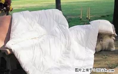 被子有异味？只要这样做，比晒太阳还强100倍！ - 家居生活 - 商洛生活社区 - 商洛28生活网 sl.28life.net