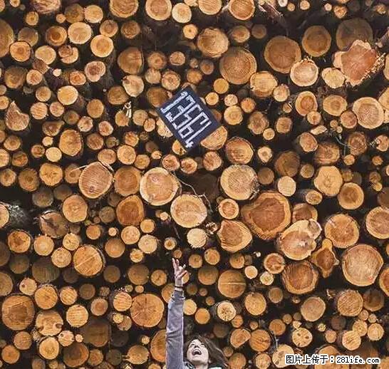 辞掉工作周游世界？现在他们在洗厕所…… - 游山玩水 - 商洛生活社区 - 商洛28生活网 sl.28life.net