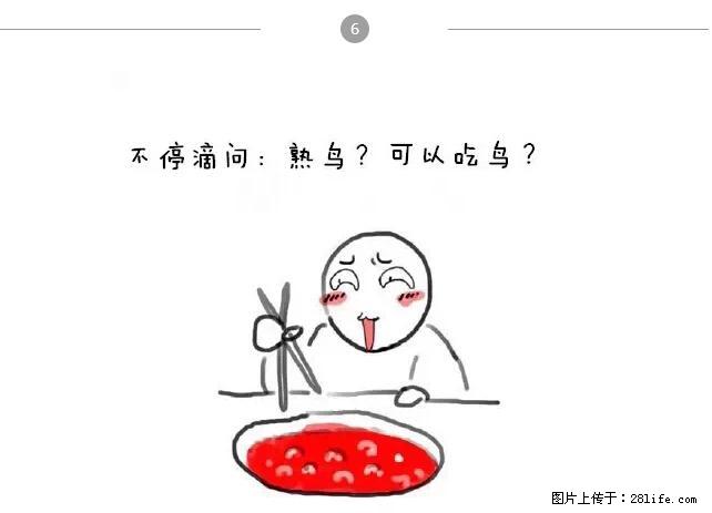 千万不要和这9种哈卵一起吃火锅! - 美食天地 - 商洛生活社区 - 商洛28生活网 sl.28life.net