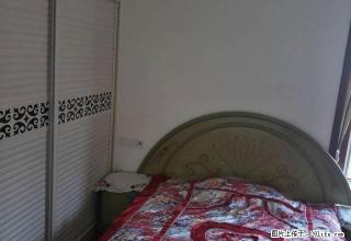 大都汇精装房850/月家具齐全拎包入住 - 商洛28生活网 sl.28life.net