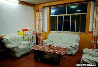 出租龙泉小区3室房家具家电齐全950/月拎包入住 - 商洛28生活网 sl.28life.net