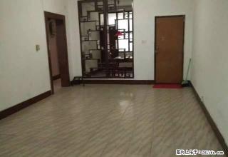 南街区政府附近 单位房 2室2厅 600元 - 商洛28生活网 sl.28life.net