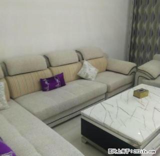 出租金岸小区 3室精装房 家具全拎包住 900 - 商洛28生活网 sl.28life.net