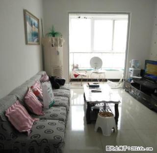 出租新市政府附近2室空调电梯房 家具全拎包住 850/月 - 商洛28生活网 sl.28life.net