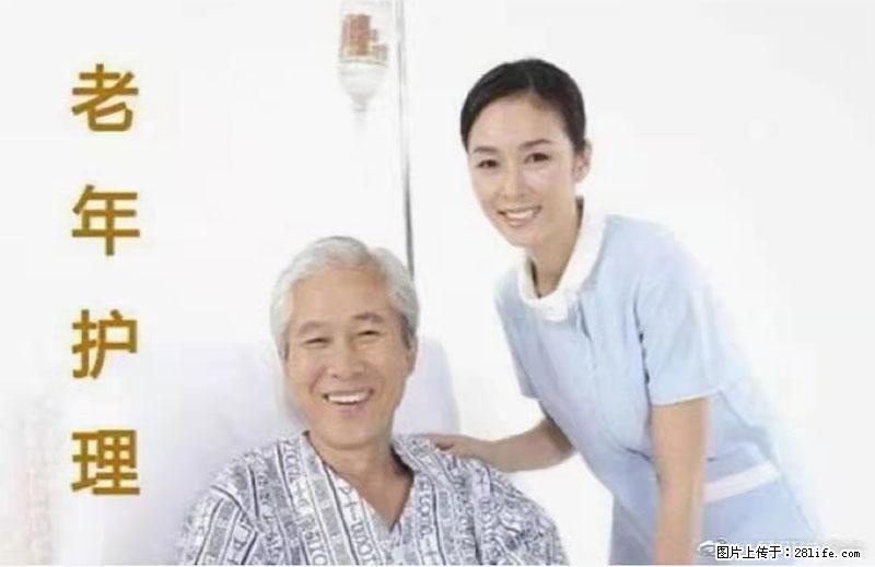 上海国企养老院，星级酒店环境，招聘养老护工 - 职场交流 - 商洛生活社区 - 商洛28生活网 sl.28life.net