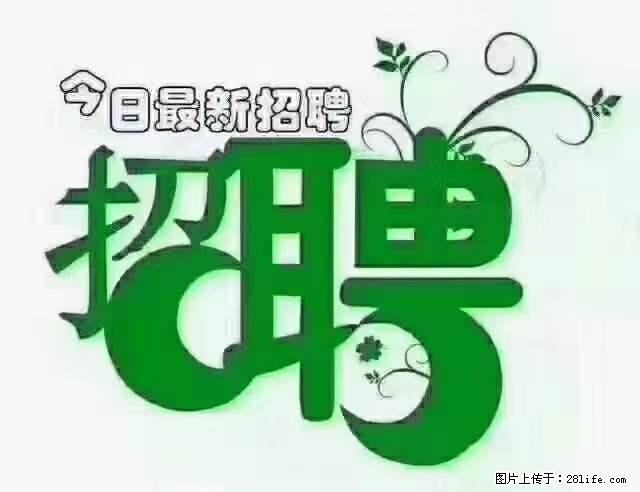 【招聘摄像师】待遇：试用期6000元/月，转正7000元/月+五险一金+餐补+节日福利+奖金 - 其他招聘信息 - 招聘求职 - 商洛分类信息 - 商洛28生活网 sl.28life.net