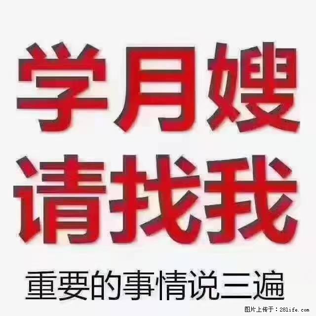 【招聘】月嫂，上海徐汇区 - 职场交流 - 商洛生活社区 - 商洛28生活网 sl.28life.net
