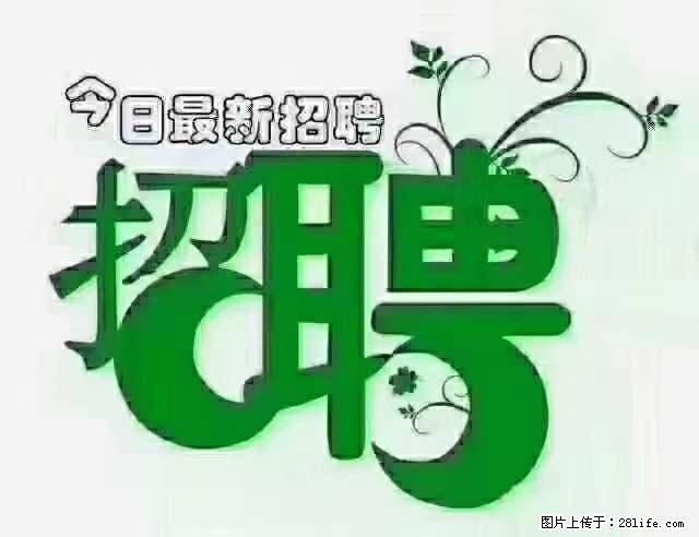 急聘！急聘！上海酒店长期前台，做六休一，每天8小时，6000块钱一月 - 职场交流 - 商洛生活社区 - 商洛28生活网 sl.28life.net