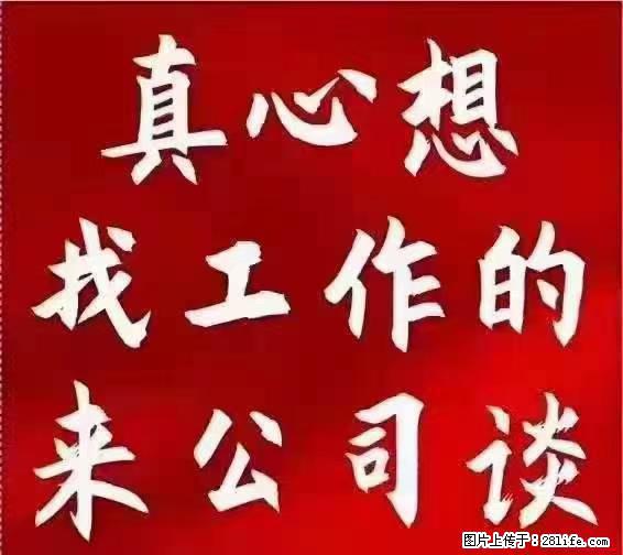 【上海】国企，医院招两名男保安，55岁以下，身高1.7米以上，无犯罪记录不良嗜好 - 职场交流 - 商洛生活社区 - 商洛28生活网 sl.28life.net