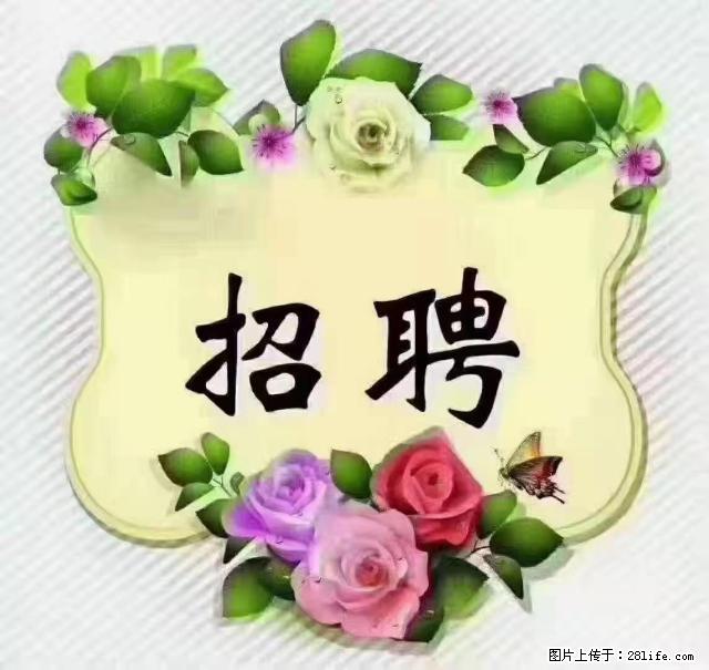 【招聘】住家育儿嫂,上户日期:4月4日,工作地址:上海 黄浦区 - 职场交流 - 商洛生活社区 - 商洛28生活网 sl.28life.net