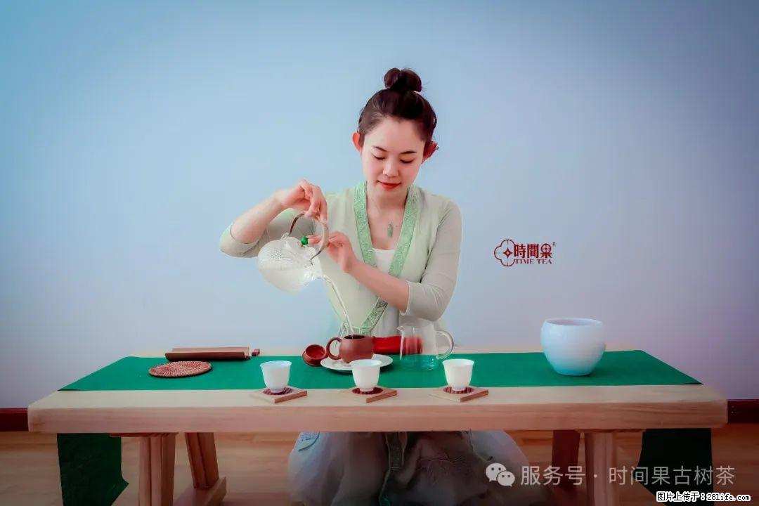 时间果百年古树龙珠普洱生茶 - 购物交流 - 商洛生活社区 - 商洛28生活网 sl.28life.net