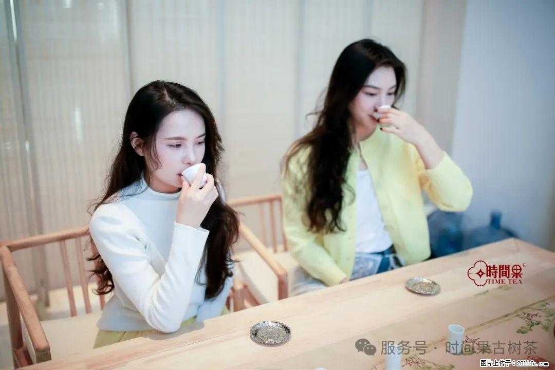 时间果百年古树龙珠普洱生茶 - 购物交流 - 商洛生活社区 - 商洛28生活网 sl.28life.net