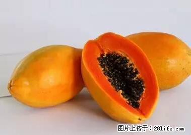 晕车、脚气、牙齿变黄、皮肤粗糙？学会这些三分钟搞定！ - 商洛生活资讯 - 商洛28生活网 sl.28life.net