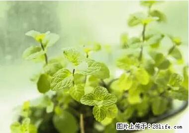 晕车、脚气、牙齿变黄、皮肤粗糙？学会这些三分钟搞定！ - 商洛生活资讯 - 商洛28生活网 sl.28life.net