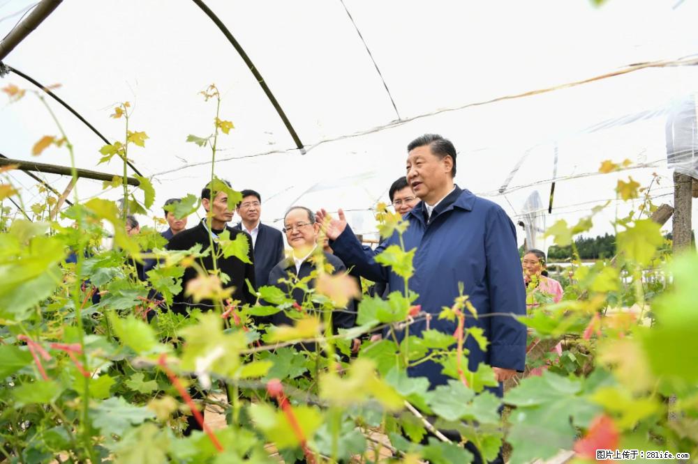习近平赴广西考察调研 - 商洛生活资讯 - 商洛28生活网 sl.28life.net
