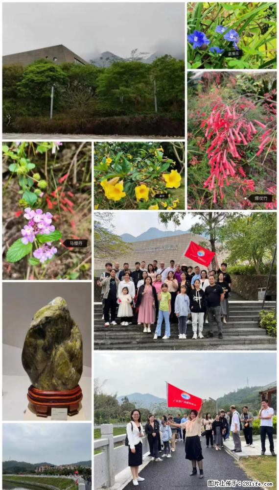 “粤灌文化 美好生活”油茶文化主题活动在广东深圳成功举办 - 商洛生活资讯 - 商洛28生活网 sl.28life.net