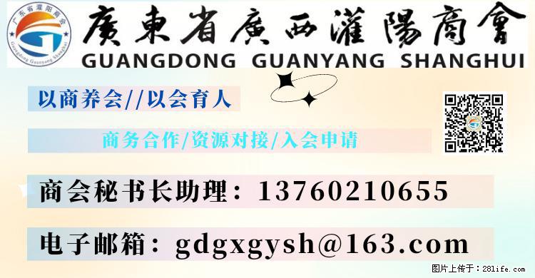 “粤灌文化 美好生活”油茶文化主题活动在广东深圳成功举办 - 商洛生活资讯 - 商洛28生活网 sl.28life.net