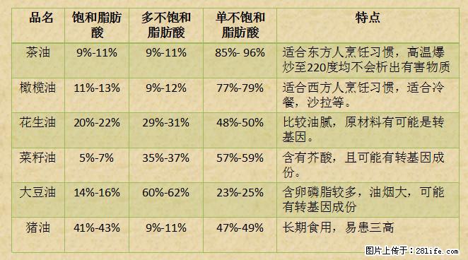 揭秘茶油的5大核心营养成分！被称为人体健康的“守护盾”！ - 商洛生活资讯 - 商洛28生活网 sl.28life.net