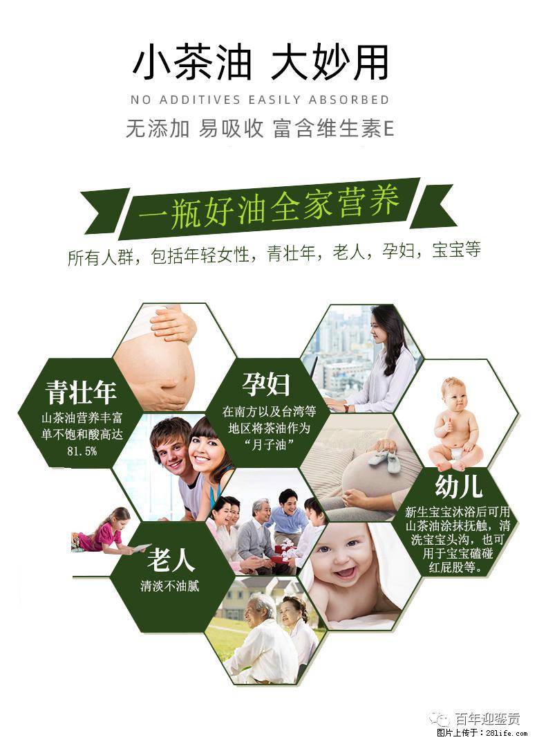 世界没有真相，只有认知，最好的食用油是中国的山茶油！ - 商洛生活资讯 - 商洛28生活网 sl.28life.net