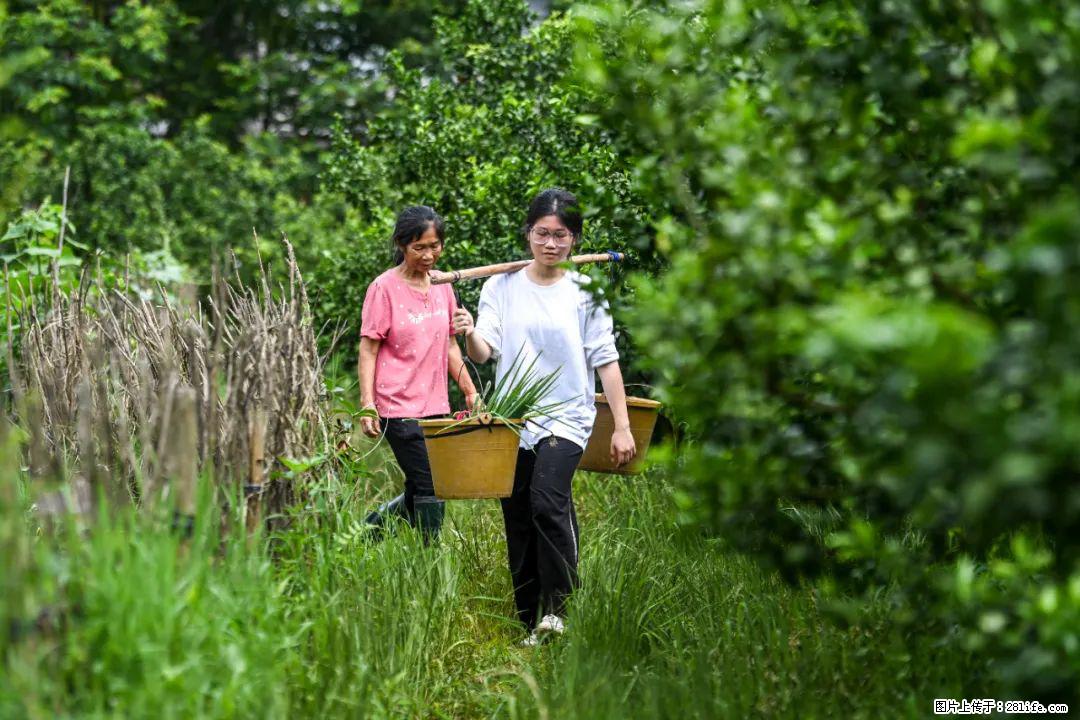 全网追的“扁担女孩”，找了一份暑假工，时薪12元 - 商洛生活资讯 - 商洛28生活网 sl.28life.net