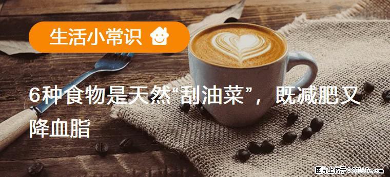 【生活小常识】6种食物是天然“刮油菜”，既减肥又降血脂 - 商洛生活资讯 - 商洛28生活网 sl.28life.net