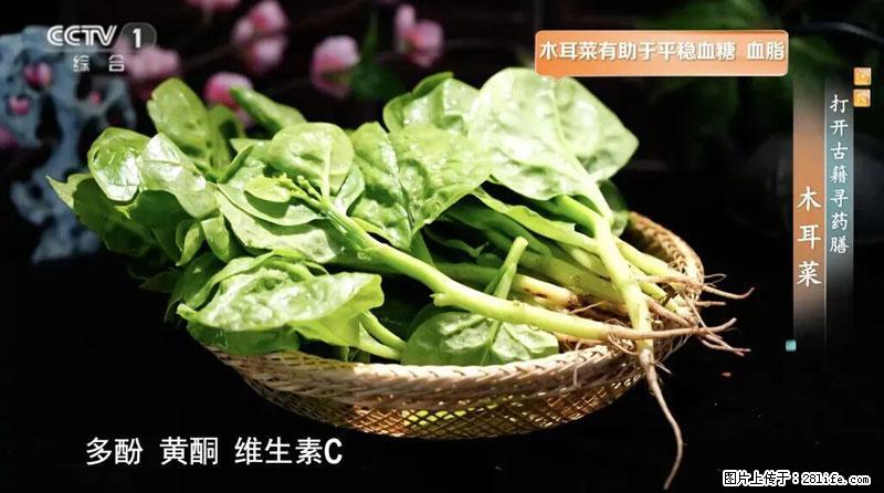 比牛奶补钙还厉害！凉血解毒、稳血糖...这菜冬天必吃，很多人却当草 - 商洛生活资讯 - 商洛28生活网 sl.28life.net