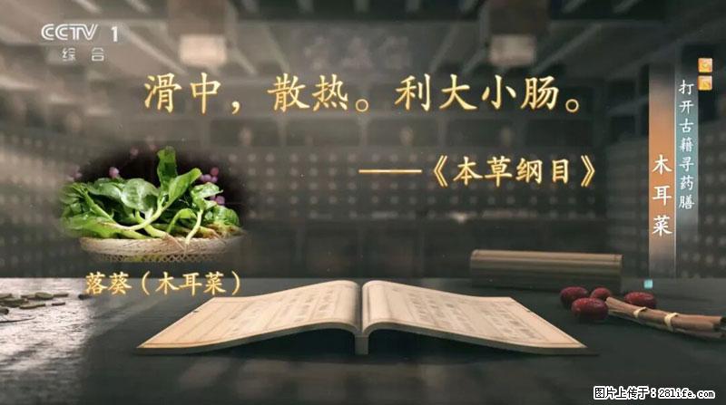 比牛奶补钙还厉害！凉血解毒、稳血糖...这菜冬天必吃，很多人却当草 - 商洛生活资讯 - 商洛28生活网 sl.28life.net