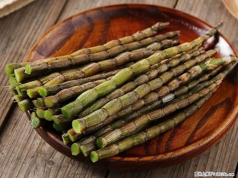 铁皮石斛的作用与功能主治 - 商洛生活资讯 - 商洛28生活网 sl.28life.net
